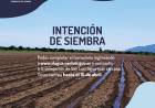 Intención de Siembra Otoño – Invierno 2022