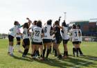 COPA SAN LUIS: Colegiales y Estancia Grande a la final