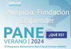 Gallardo reconoce que el PANE no tiene control bromatologíco. Es o se hace.La Fundación EMPRENDER detrás de SOL PUNTANO.Mismos actores.El 70 por ciento de los chicos ya no come en la Escuela.