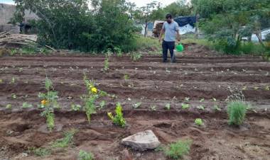 Huerta Comunitaria en el Barrio La República