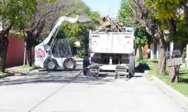 Ciudad de San Luis: a full con el plan de reforestación