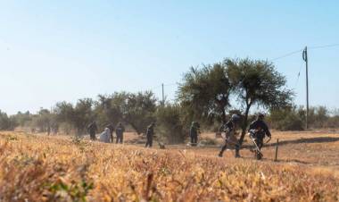 Un abordaje integral de servicios sobre la Ruta 146