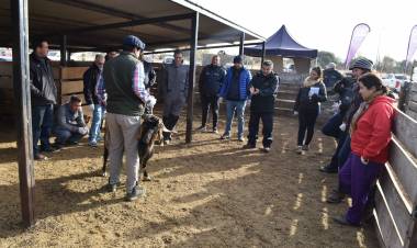 Biotecnología reproductiva en Sol Puntano
