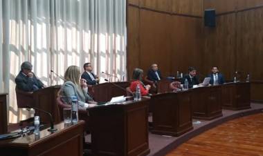 Media sanción para la ley que busca crear la ADEAS