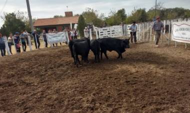 QUINES: remate en el predio de la Sociedad Rural del Norte