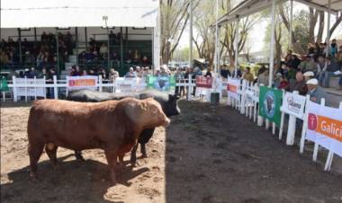 CAMPO: Todo el cronograma de la Expo Rural Río Quinto