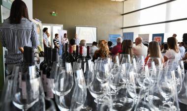 La vitivinicultura en San Luis toma fuerza