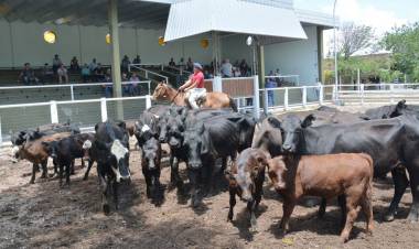 Primer remate del año de San Luis Feria