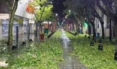 Más de 32 mil créditos solidarios y Mil comercios, el daño de la piedra. Están todos otorgados 