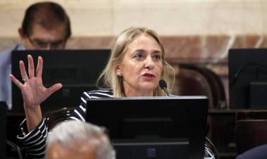 Negre de Alonso"no es lógico hacer lo que hace Adolfo de estar en contra del PJ que le dió todo'.Yo no SOS opositora, pero respeto la historia y la mía propia de mi padre preso en la dictadura"