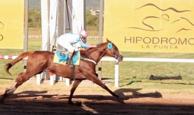 TURF: este domingo se disputa el Gran Premio Vicente Dupuy