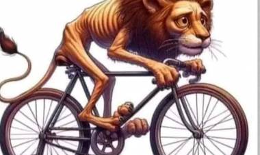 El Bono a los Jubilados de 55 mil , valdrá 15 mil real por la liberación de precios de MILEI .Es condenar al hambre a los Jubilados , dice un especialista.