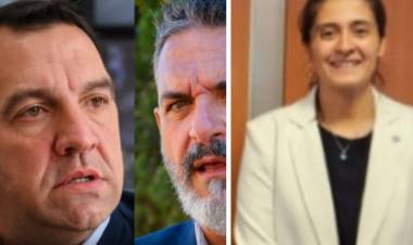 Seguridad: las ratas fueron después del 10. Cámaras que no mienten . Denunciarán a Nancy Sosa por Falsa denuncia . Se robaron un Hospital en Merlo y la Unidad Regional II cuando se  fueron y se preocupan por tres monopatines que están.Ridiculez y Cinismo.