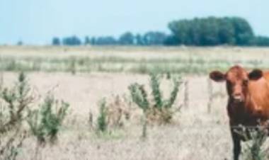 Productores Independientes cuestionan el silencio oficial de las entidades del Campo ante el aumento del 500 por ciento del inmobiliario Rural 