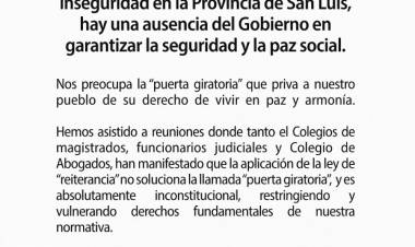 Bloque PJ: con la Reiterancia la puerta giratoria será peor.Los dicen los Colegios de Abogados y los Jueces. Es Inconstitucional.Charly y Patafio no pueden pretender quedar como burros 