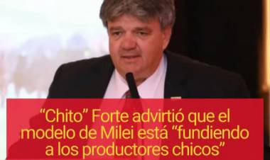 Forte: el modelo MILEI es igual que el de Martínez de Hoz.El chacarero se está fundiendo 