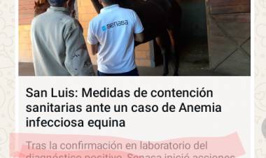 Confirmo Nación que en San Luis hay Anemia Equina.Lo había adelantado EA.Funcionarios Nacionales que callaron, premio Dupuy de por medio.. Escándalo Sanitario sin precedentes.