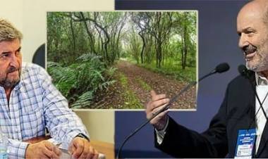 Piden a Sturzenegger que derogue la Ley de Bosques. Que sean las Provincias quienes ordenen el territorio en virtud del art. 124 de la CN.Caso fallo Municipio de Merlo 