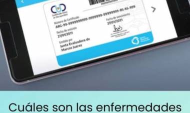 Cuales son las enfermedades para Discapacidad CUD.Forma de solicitarlo 