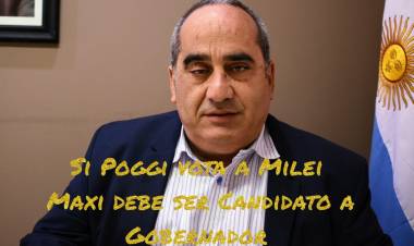 Periale "si Poggi vota a Milei por Becerra, Maxi debe ser Candidato a Gobernador.
