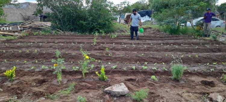 Huerta Comunitaria en el Barrio La República
