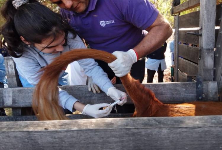 Quines: acciones sanitarias en una escuela agrotécnica 