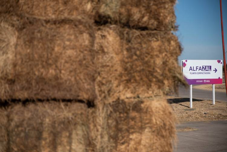 A tres años del Plan Plurianual de Alfalfa
