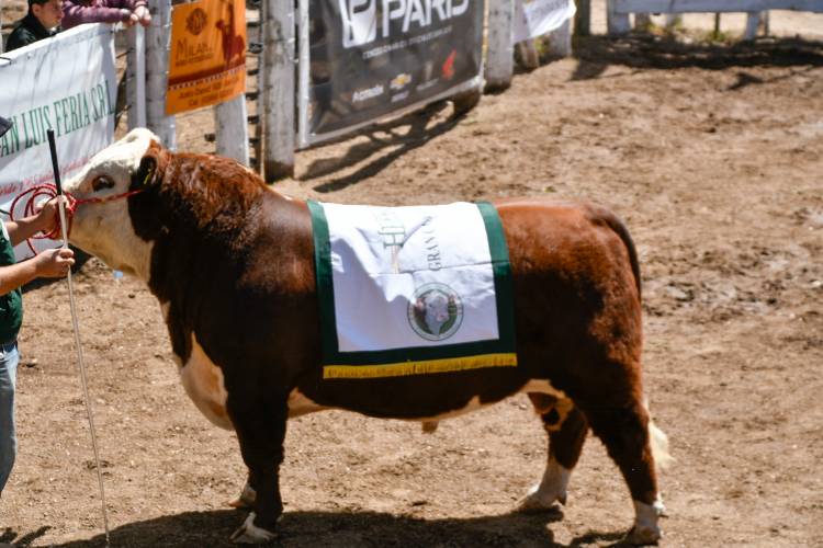 Lavandeira en Rural San Luis  “el campo para la Provincia es un pilar fundamental para el crecimiento ‘