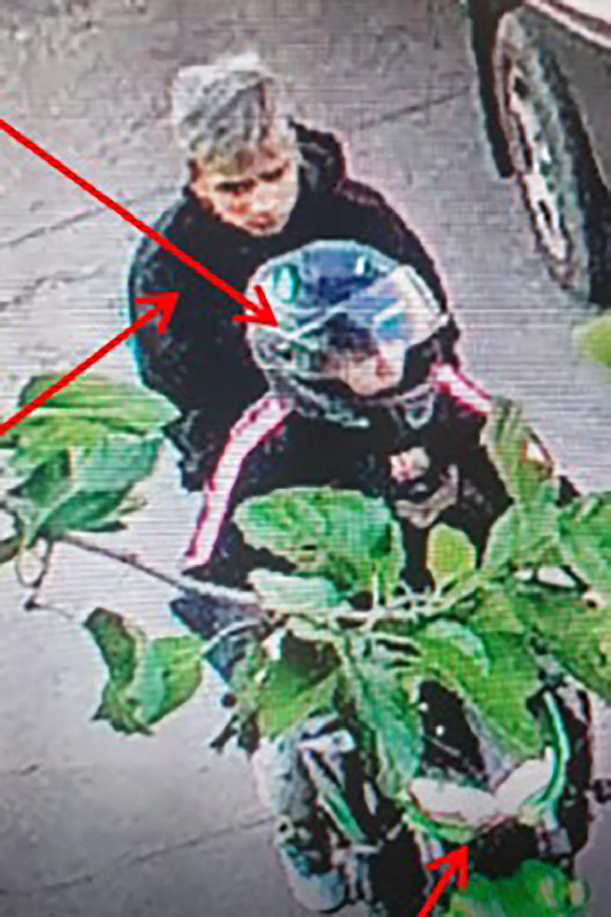 Identificaron al autor de la muerte de Blaquier.18 años y culto a las armas 