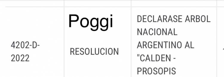 Pide Poggi que el CALDEN sea declarado árbol nacional . Increíble los no aportes a San Luis . Del ridículo no se vuelve 