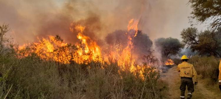 Época de mayor riesgo de incendios forestales en San Luis