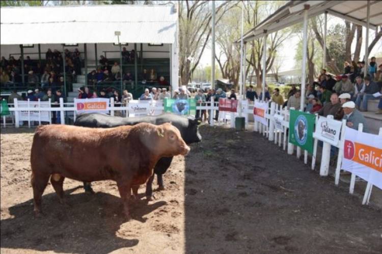  PROGRAMA DEFINITIVO DE LA 92º EXPO RURAL RÍO QUINTO