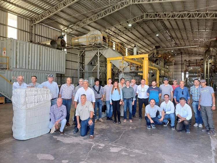  QUINES: impulsan la expansión del algodón en San Luis