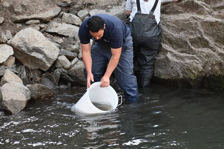 LUJÁN: San Luis Agua sembró pejerreyes en el Dique 