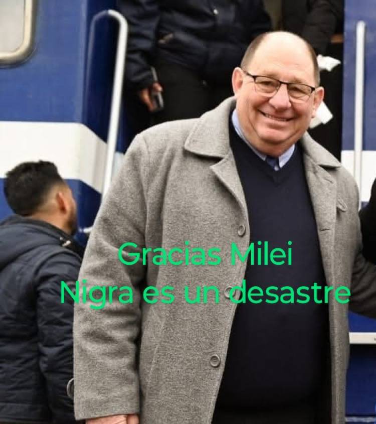 El Tren de Milei eligió San Luis para venir  por la pobreza . No es para festejar . Es porque no funcionan ni la Salud mínimamente , dijo D Alessandro 