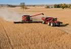 Avanza la cosecha de soja en San Luis 