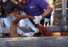 Quines: acciones sanitarias en una escuela agrotécnica 