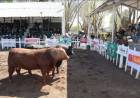 CAMPO: Todo el cronograma de la Expo Rural Río Quinto