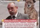 Repudian que Bazla haya adoptado dos perros y los devolviera a la Canera que él denuncia .Vergüenza ajena y falta de decoro .Otro ridículo 