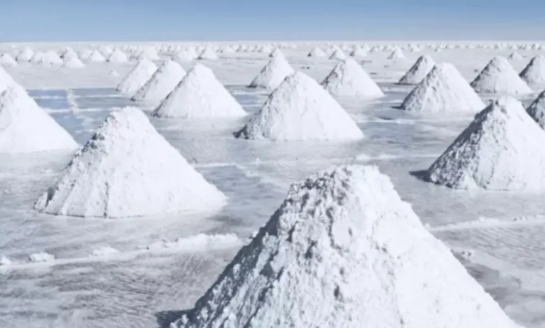 Argentina en 2025 será el segundo productor mundial de litio, según la CAEM