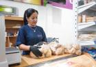 Llega el “Pan solidario” al Mercado Municipal de San Luis