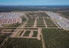 Plan “Lotes con Servicios”, más soluciones habitacionales