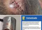 El norte si tiñe de inseguridad.Casi matan dos jubiladas en Naschel y Concarán.El Ministerio de Seguridad sin plan . La autopista Ruta 7 sin luz . En Mercedes lo mismo a tres cuadras de una Comisaría 