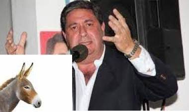 La mentira de Pipo Rossi.Un trànsfuga polìtico que es burro.Para ellos la pandemia no fue miseria