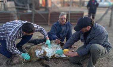EL TRAPICHE: acciones del SENASA a favor de la comunidad