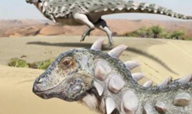 Presentaron a Jakapil, el nuevo dinosaurio acorazado descubierto en Río Negro