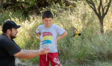 LUJÁN: liberaron cinco aves rescatadas del tráfico ilegal