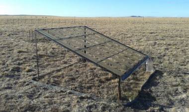 La productividad forrajera bajo la lupa