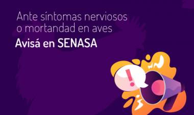 GRIPE AVIAR: COORDINAN ACCIONES DE ALERTA Y PREVENCIÓN