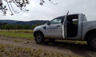 Vigilancia y monitoreo de plagas en cultivos de San Luis